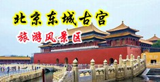 强奸处女小说麻豆中国北京-东城古宫旅游风景区